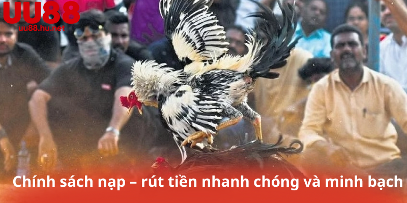 Chính sách nạp – rút tiền nhanh chóng và minh bạch