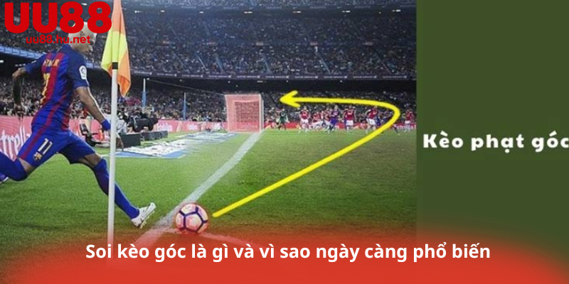 Soi kèo góc là gì và vì sao ngày càng phổ biến 